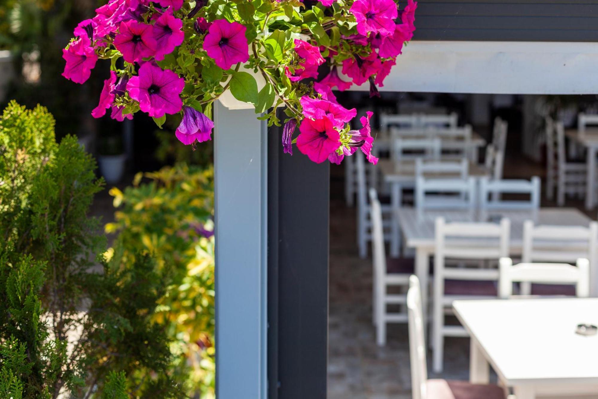 Dhima Hotel Himare Eksteriør bilde