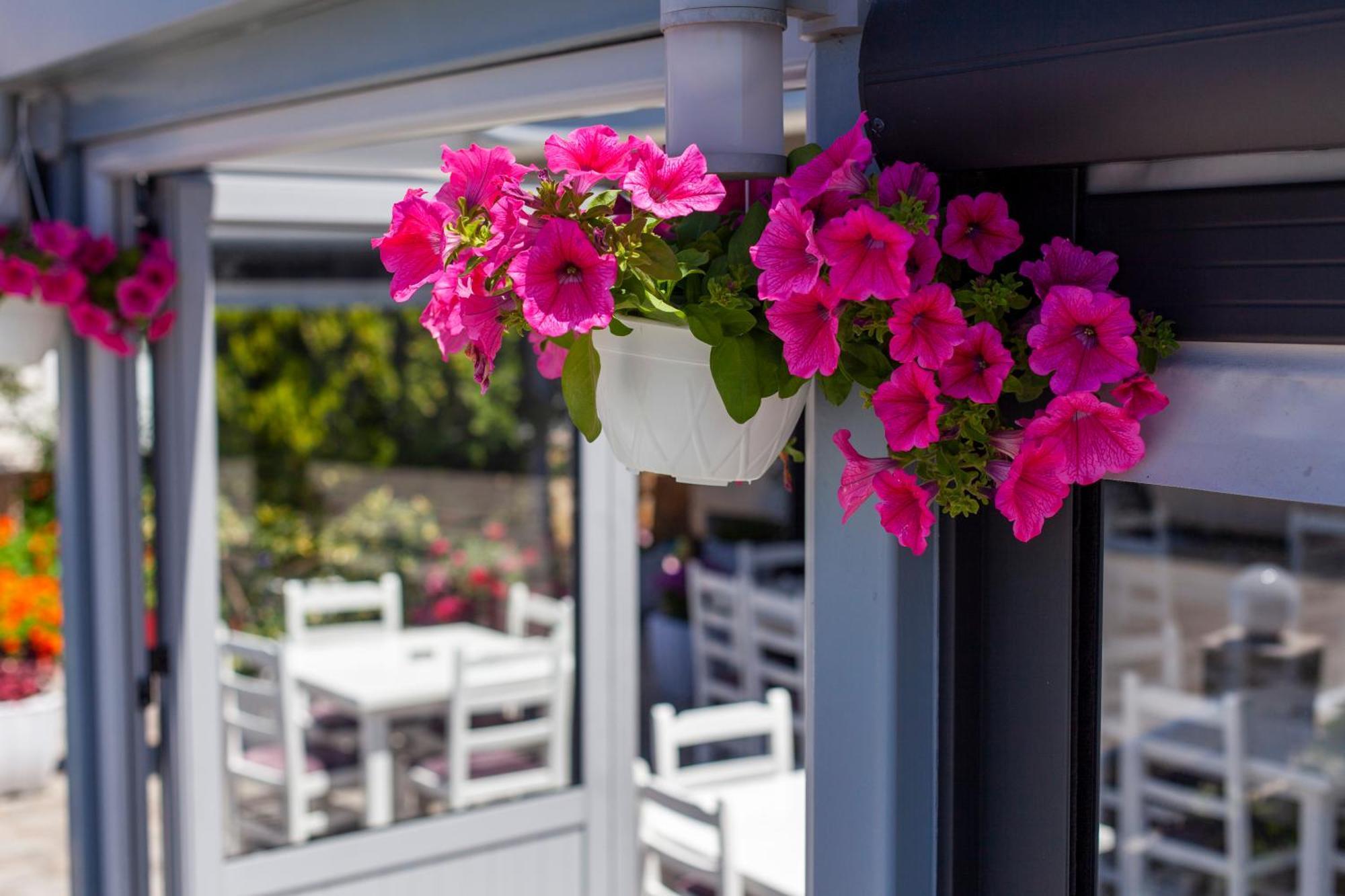 Dhima Hotel Himare Eksteriør bilde